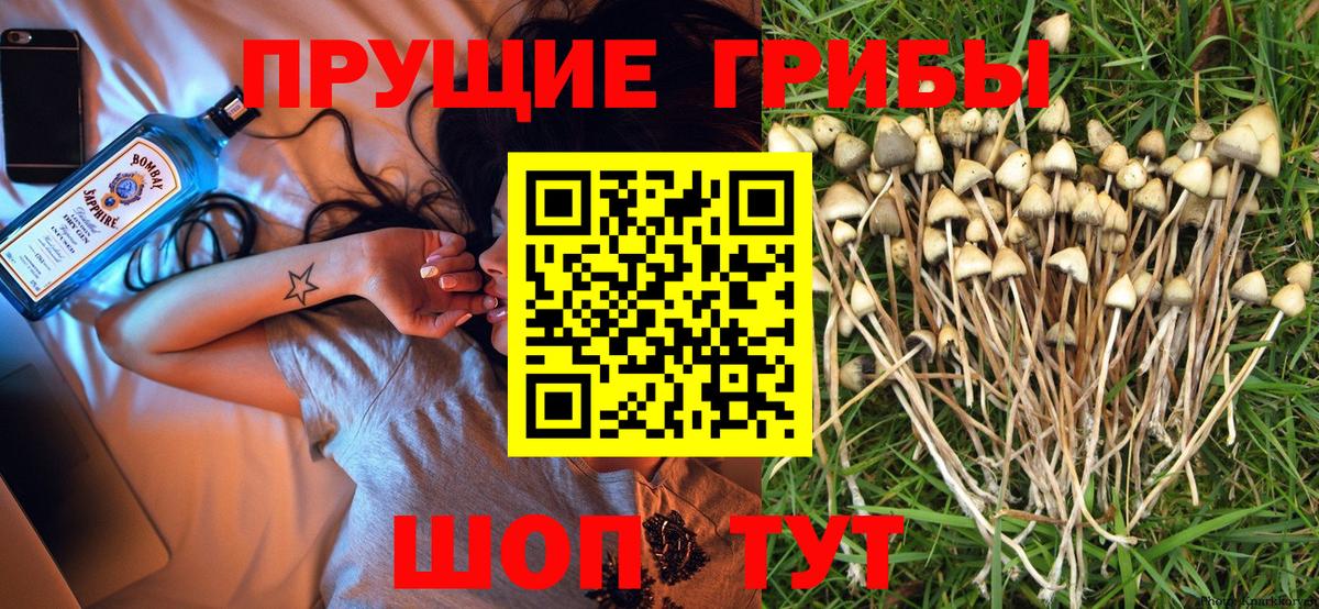 Галлюциногенные грибы мухоморы Строитель